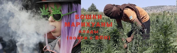 сатива Баксан