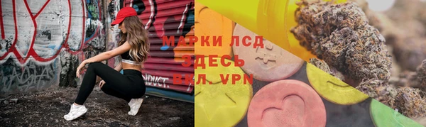 сатива Баксан