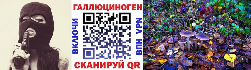 МЕГА сайт  Лесной  Псилоцибиновые грибы Psilocybine cubensis 