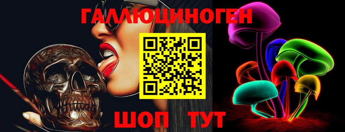 Псилоцибиновые грибы прущие грибы  Вход с VPN  Лесной 